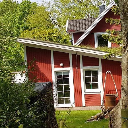 An Der Schafsweide Lejlighed Aukrug Eksteriør billede